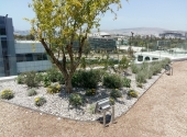 Technava green roof